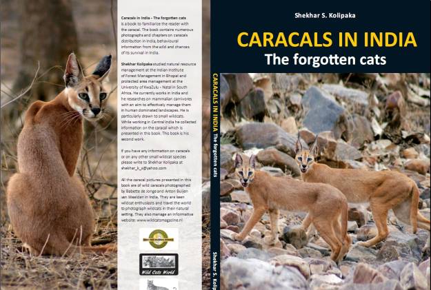 caracals3