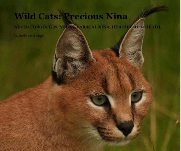 Precious caracal Nina